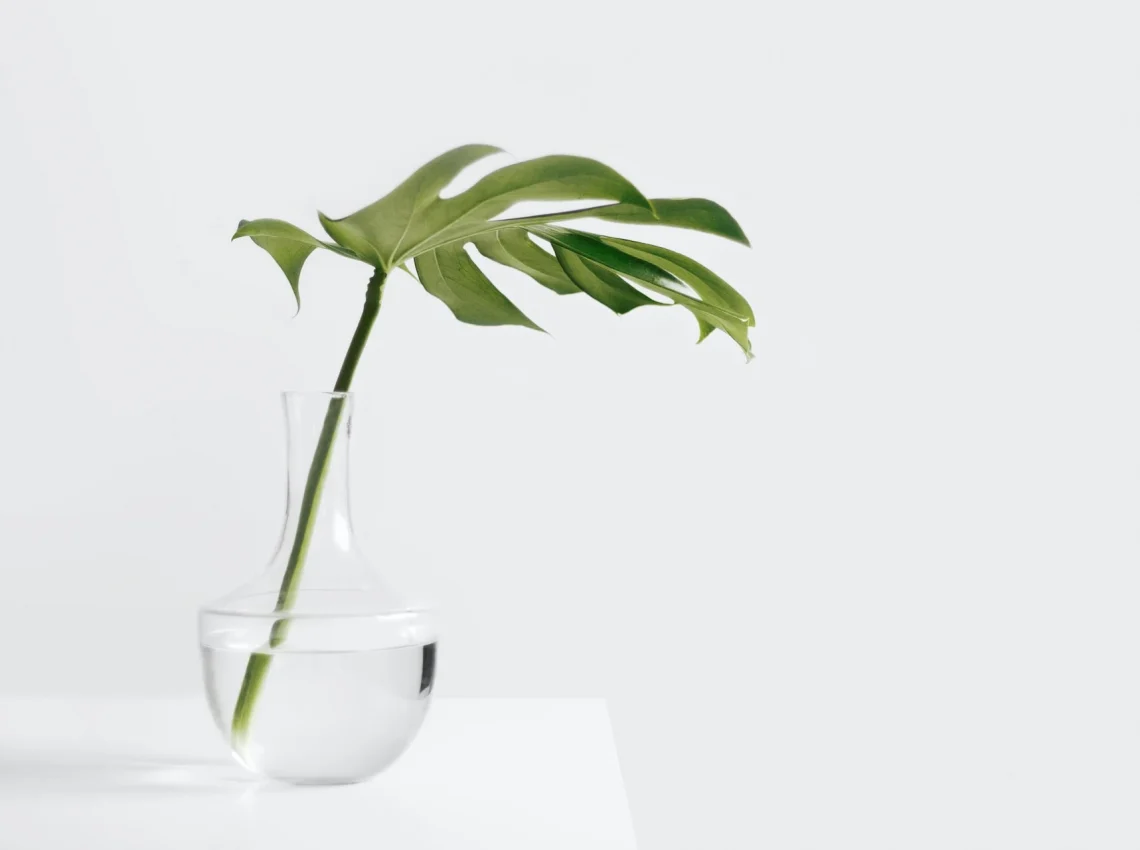 Here’s How We Can Work Towards Care Equality